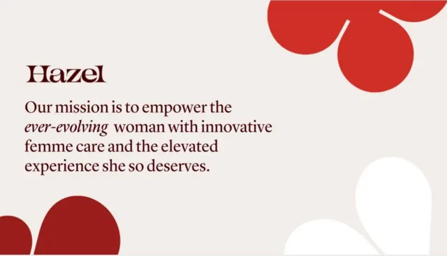 Vision slide 5 from Hazel