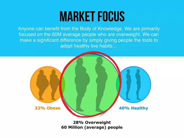 Market sizing / opportunity slide 4 from Body of Knowledge (B-OK)
