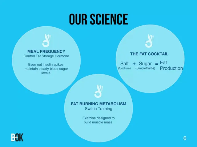 Product / solution slide 6 from Body of Knowledge (B-OK)