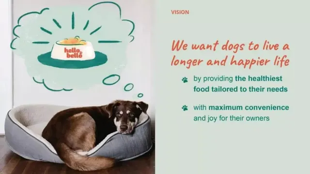 Vision slide 3 from HelloBello
