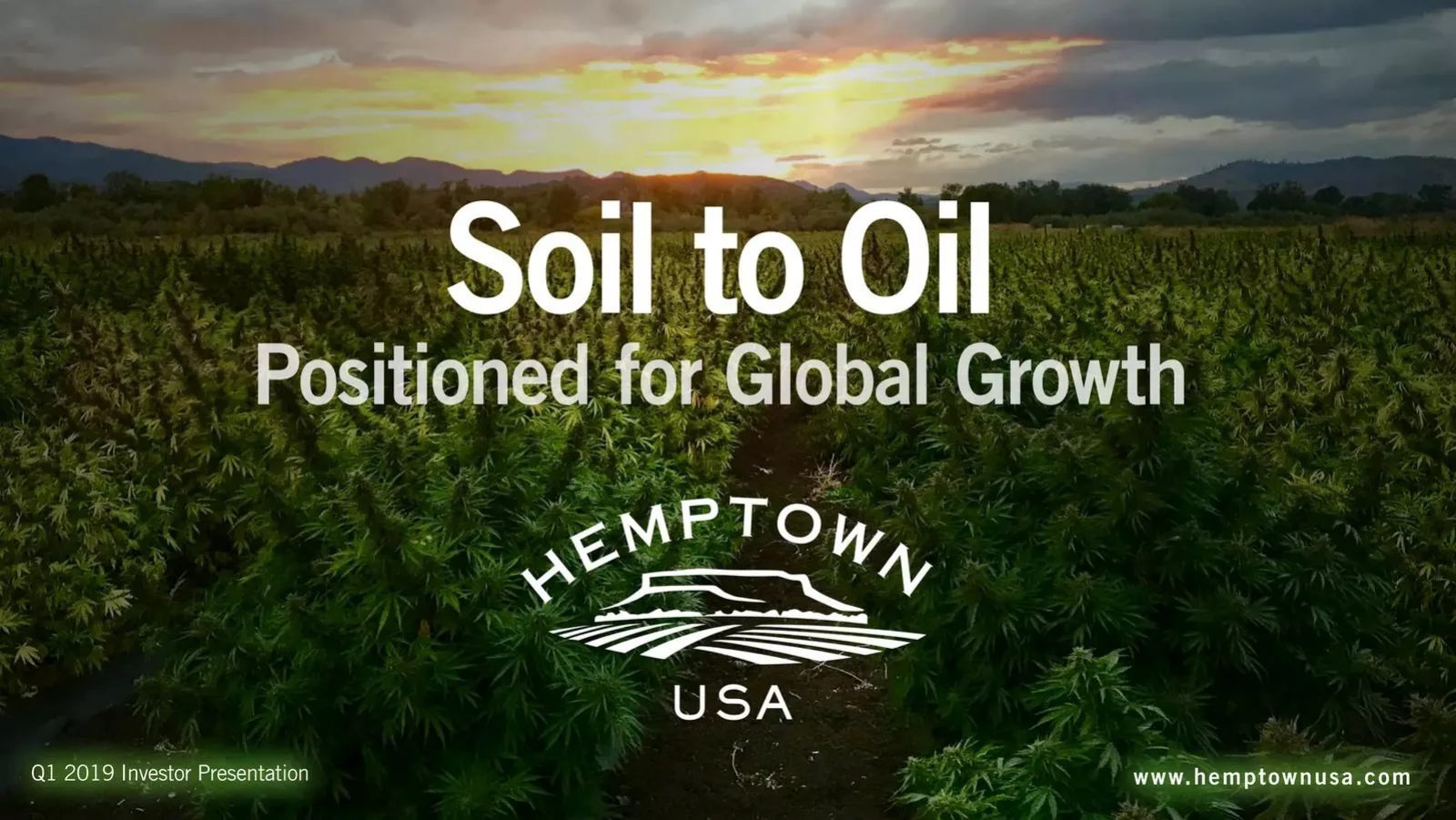 Hemptown Spring (Hemptown USA) pitch deck slide