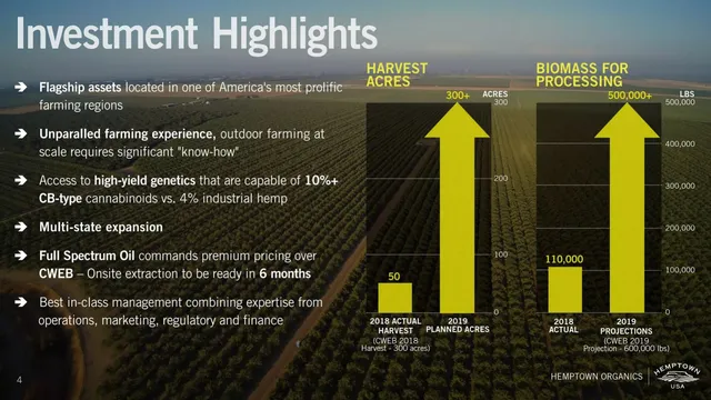 Company overview slide 4 from Hemptown Spring (Hemptown USA)