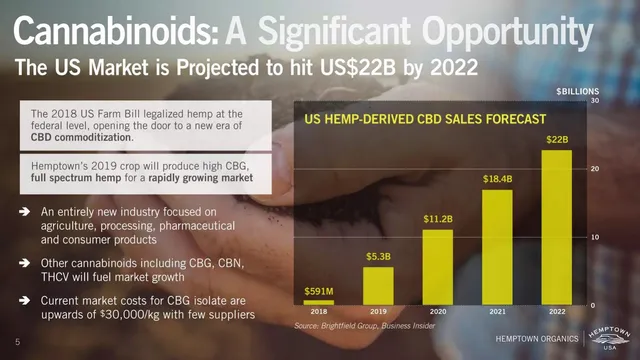 Market sizing / opportunity slide 5 from Hemptown Spring (Hemptown USA)