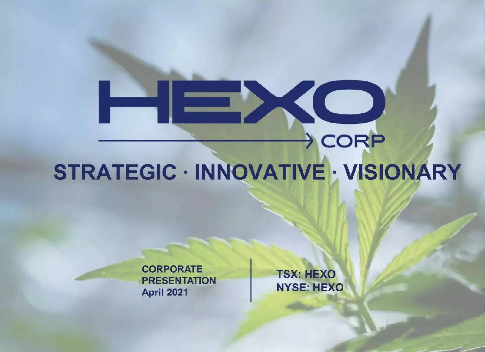 Hexo Corp pitch deck slide