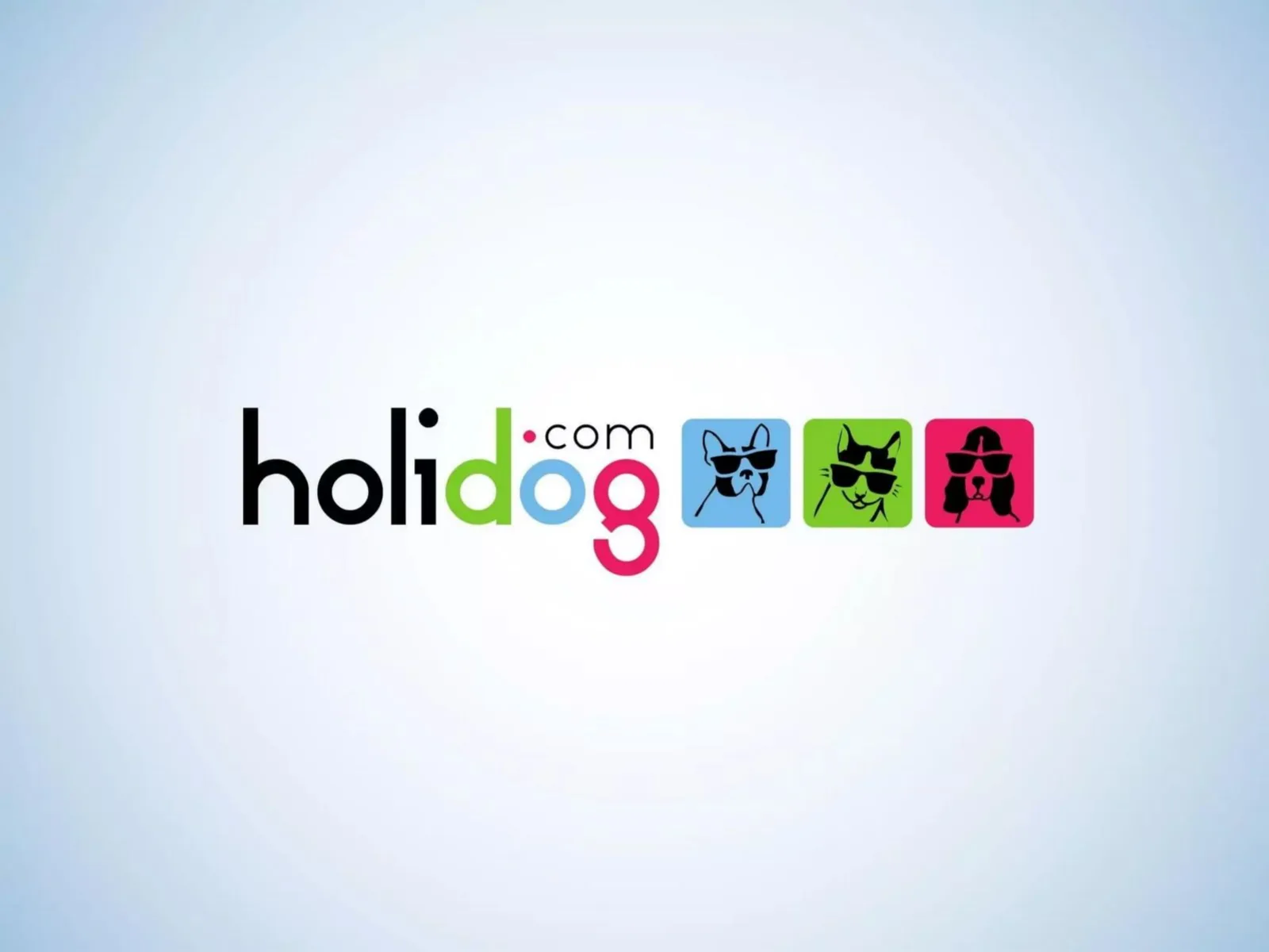 Holidog pitch deck slide