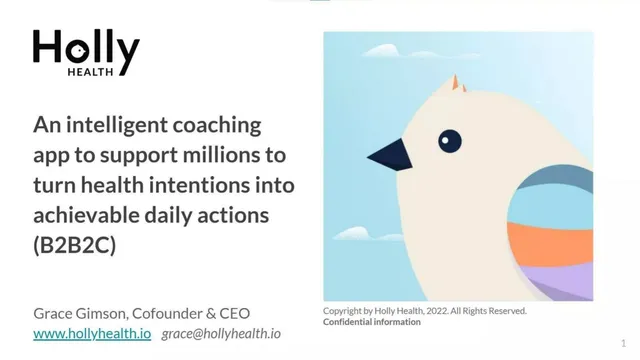 Holly Health pitch deck cover