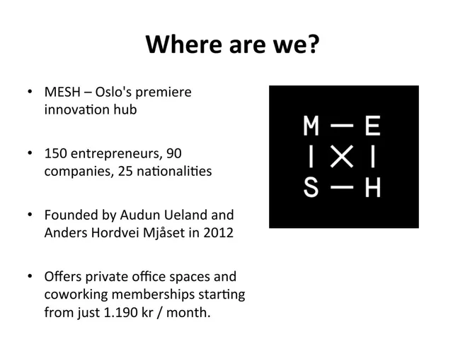 Company overview slide 4 from MESH