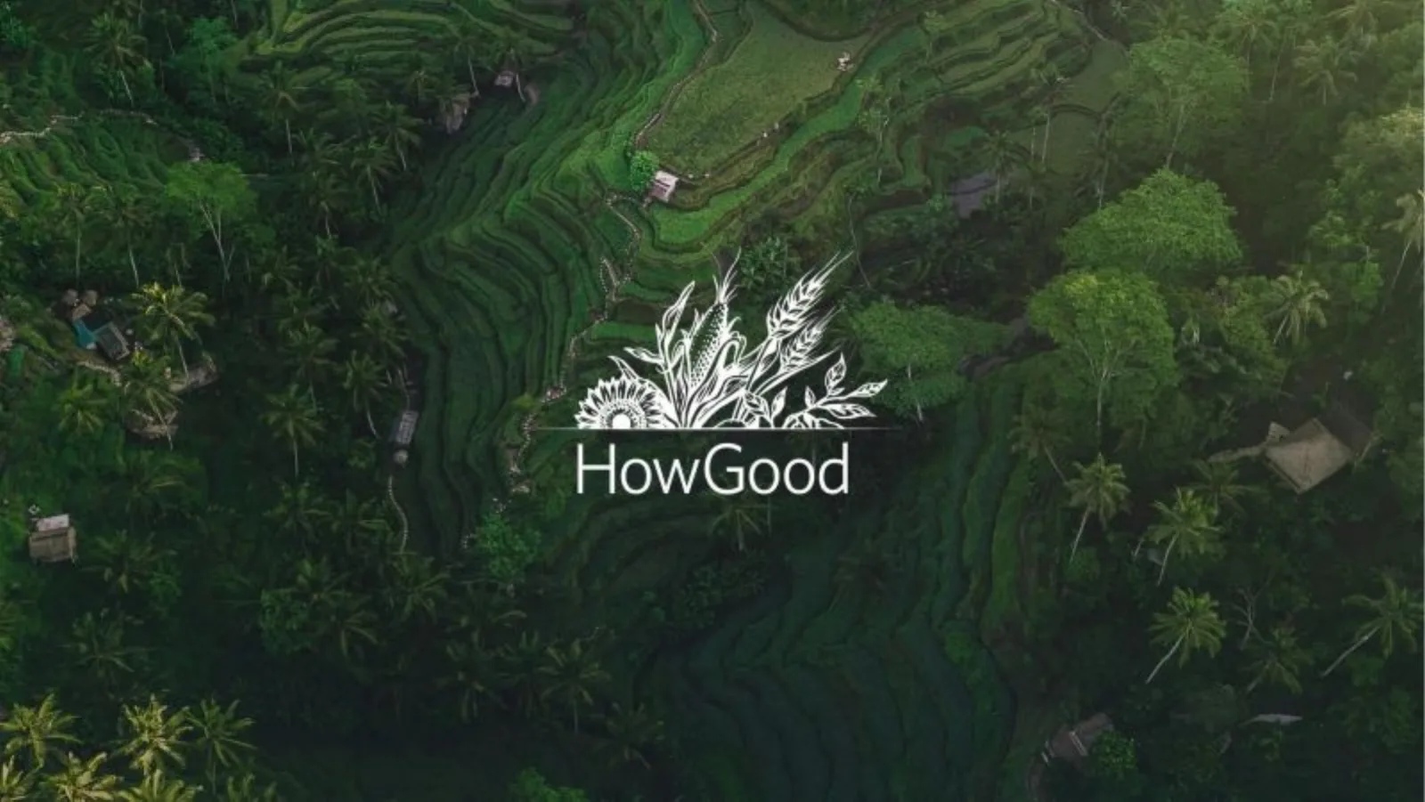 HowGood pitch deck slide