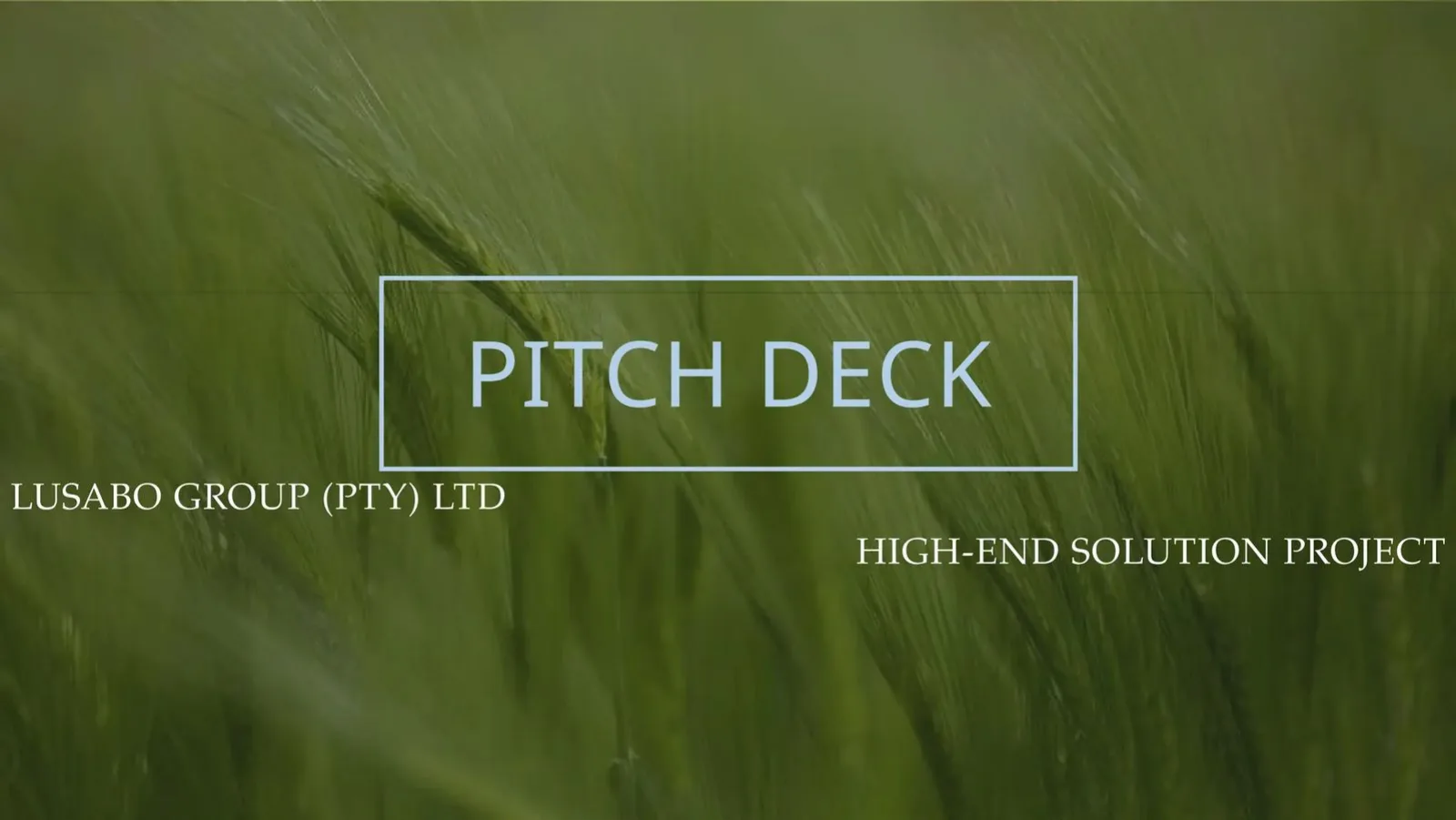 Lusabo Group (PTY) LTD pitch deck slide