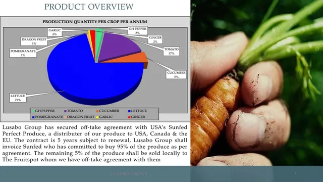 Traction slide 7 from Lusabo Group (PTY) LTD