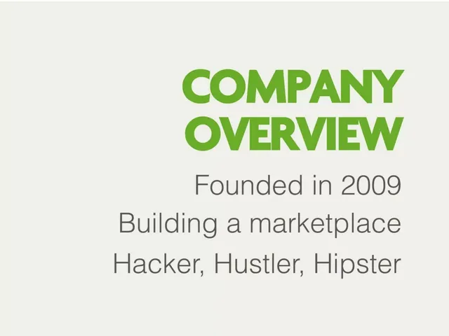 Company overview slide 2 from Iconfinder
