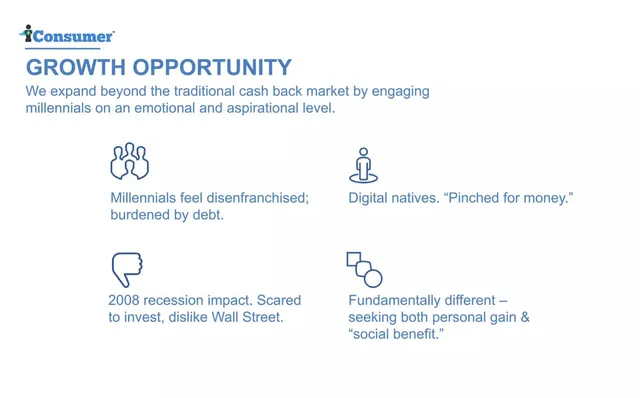 Market analysis / overview slide 5 from iConsumer
