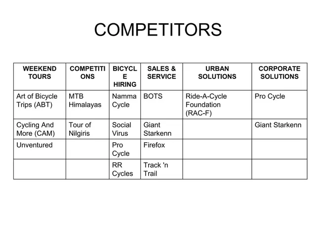 Competitors slide 5 from Icycle