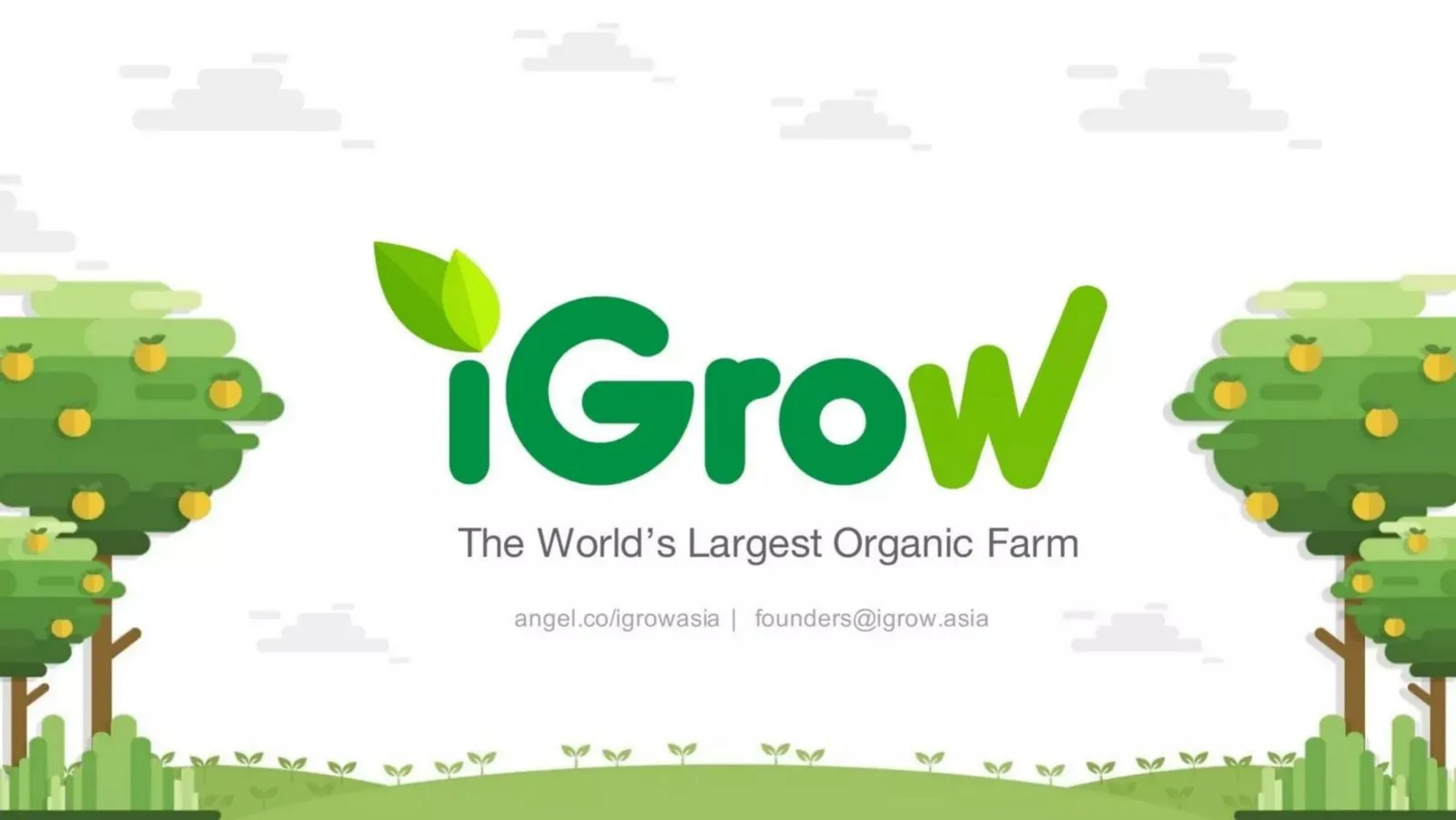 iGrow pitch deck slide