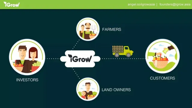 Market analysis / overview slide 4 from iGrow