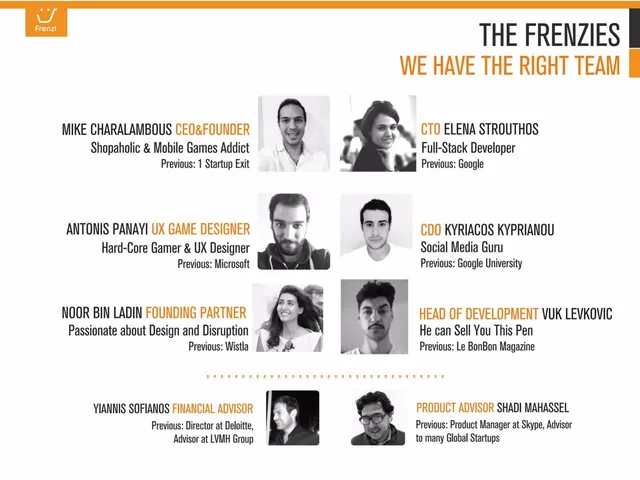 Team slide 12 from Investment Frenzi