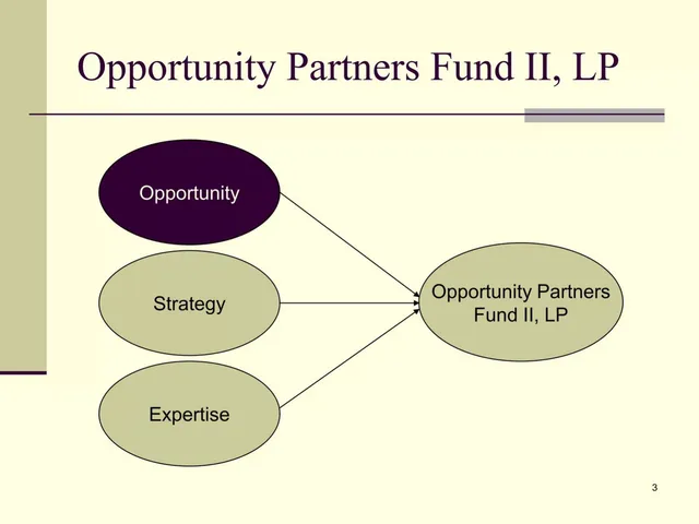 Section divider slide 3 from Opportunity Partners Fund II, LP