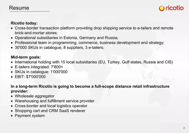 Company overview slide 2 from Ricotio