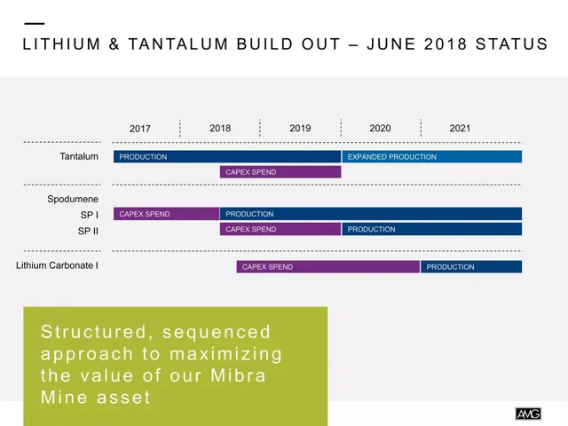 Roadmap slide 11 from AMG Advanced Metallurgical Group N.V.