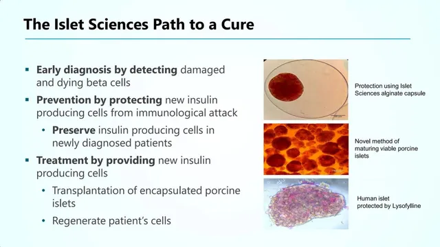 Product / solution slide 11 from Islet Sciences