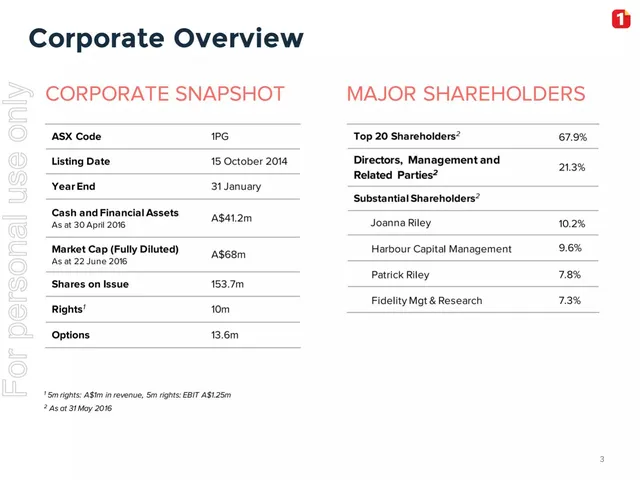 Company overview slide 3 from 1-Page