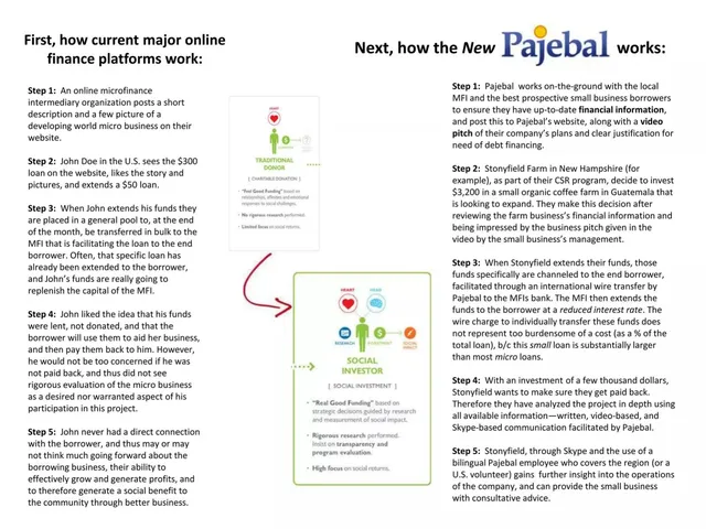 Product / solution slide 8 from Pajebal, Inc.