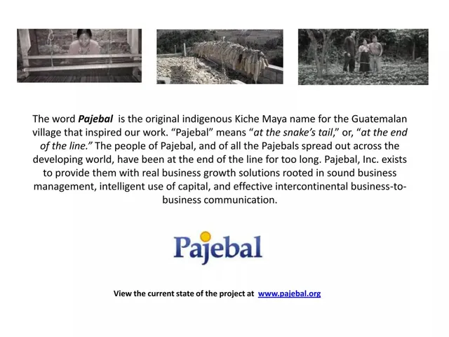 Thank you slide 10 from Pajebal, Inc.