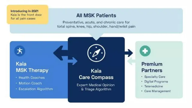 Product / solution slide 12 from Kaia Health