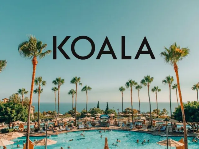 Koala pitch deck cover
