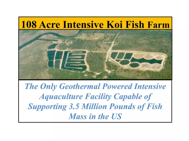 Product / solution slide 3 from Koi Gardens Energy Ranch