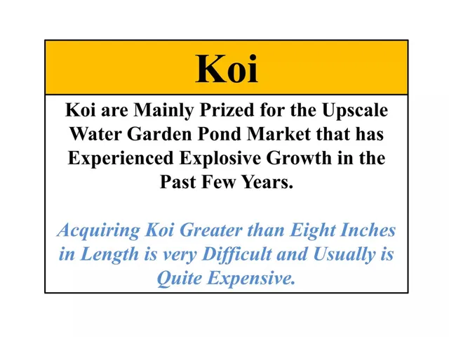 Market analysis / overview slide 10 from Koi Gardens Energy Ranch