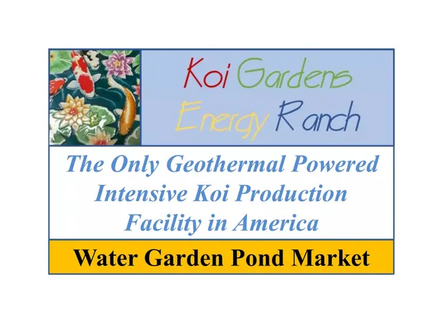 Koi Gardens Energy Ranch pitch deck cover