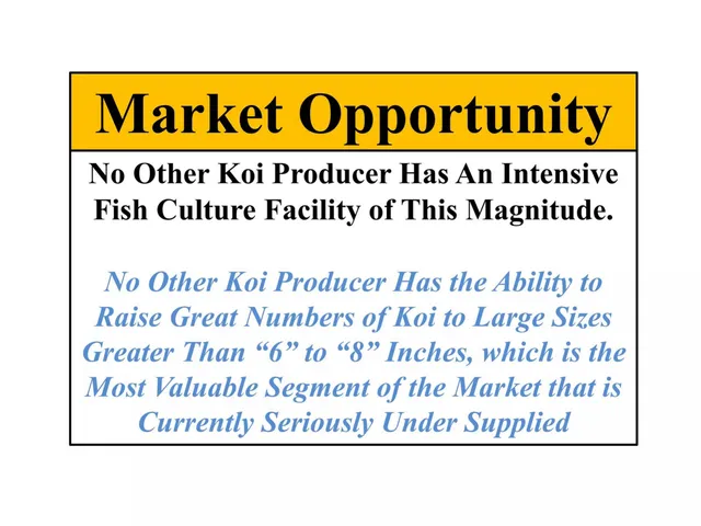 Competitors slide 11 from Koi Gardens Energy Ranch