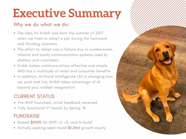 Company overview slide 2 from Kriddr