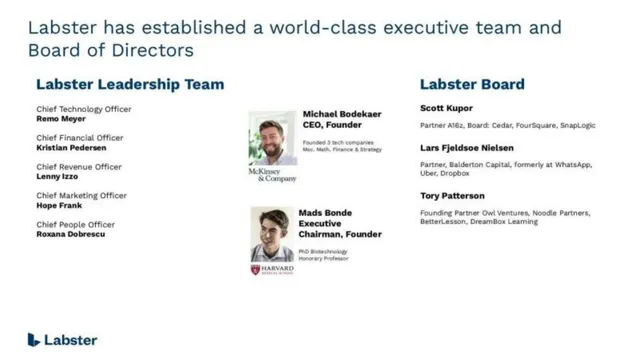 Team slide 3 from Labster