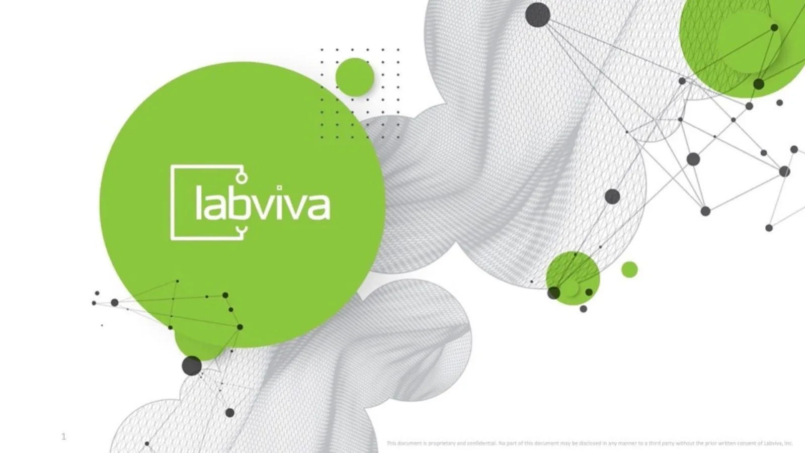 Labviva pitch deck slide
