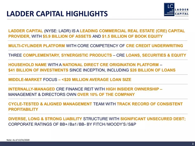 Company overview slide 3 from Ladder Capital
