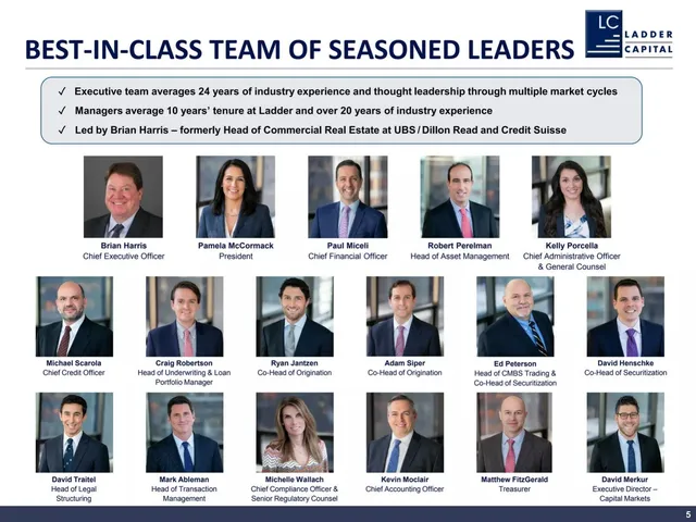 Team slide 5 from Ladder Capital