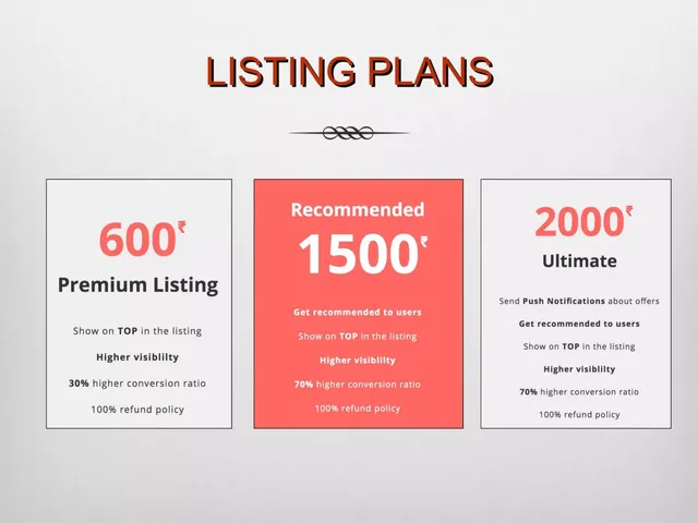 Business model / revenue streams slide 10 from LEUK