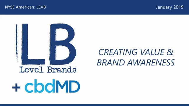 Section divider slide 1 from Level Brands (LEVB)