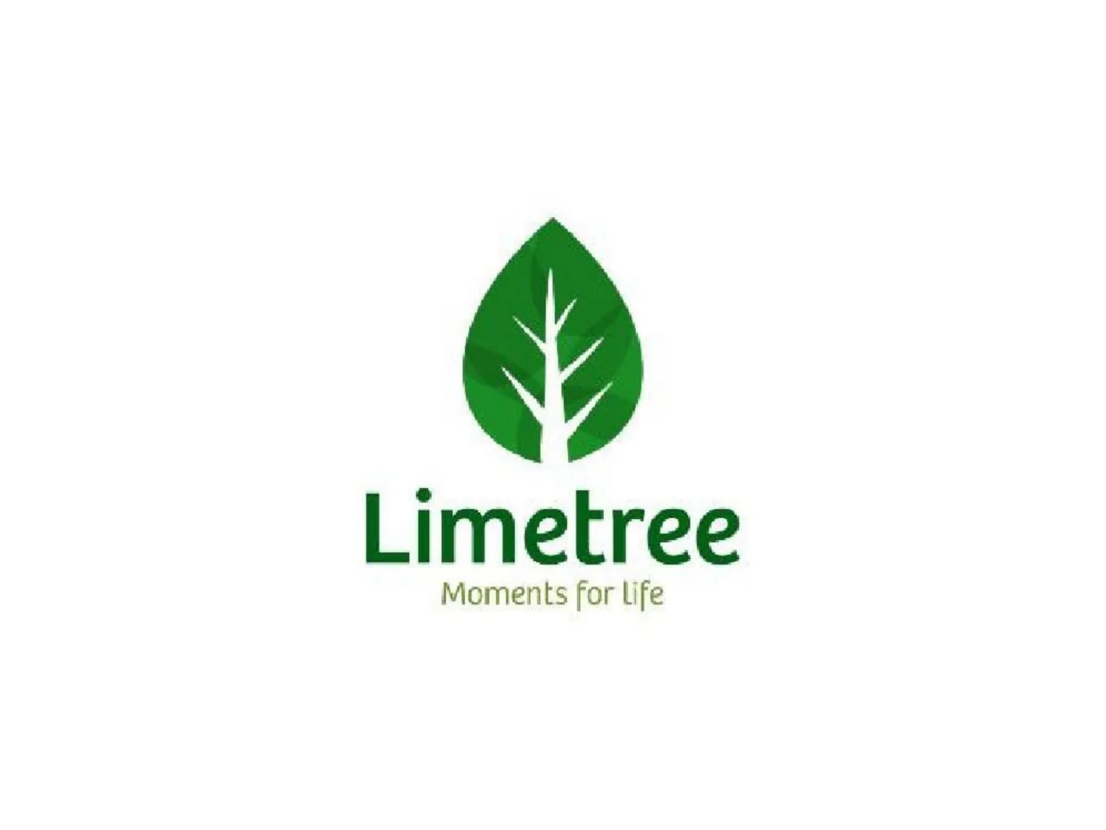Limetree pitch deck slide
