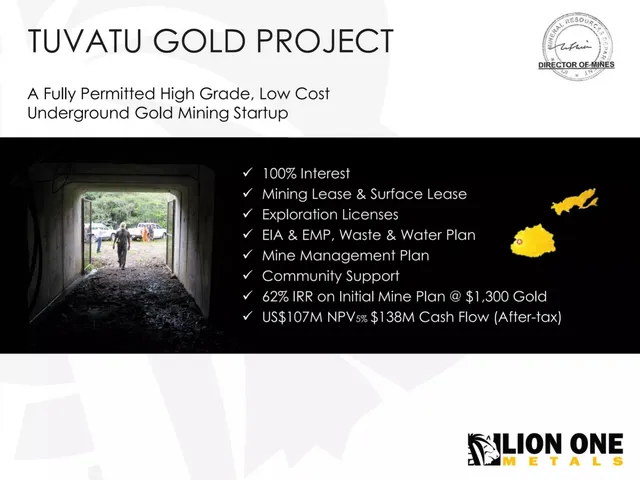 Company overview slide 3 from Lion One Metals