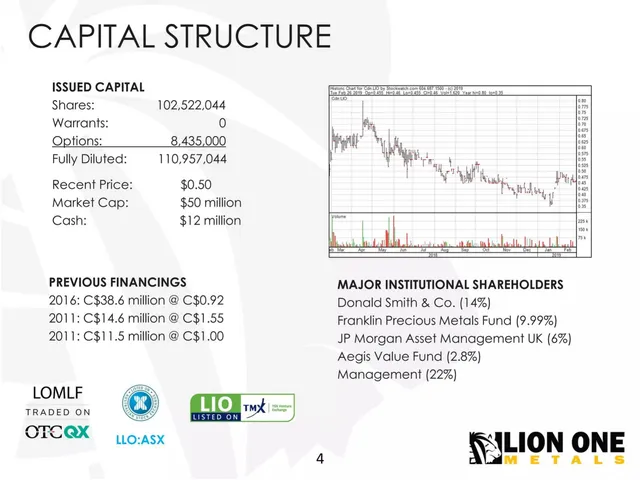 Company overview slide 4 from Lion One Metals