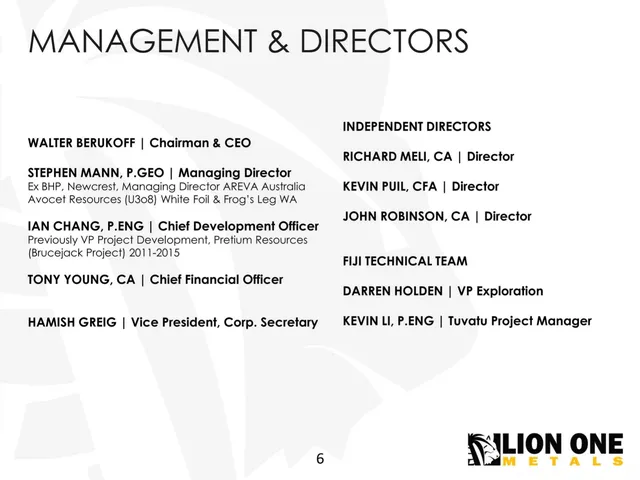 Team slide 6 from Lion One Metals