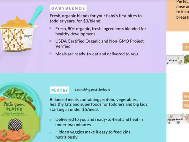 Product / solution slide 4 from little spoon