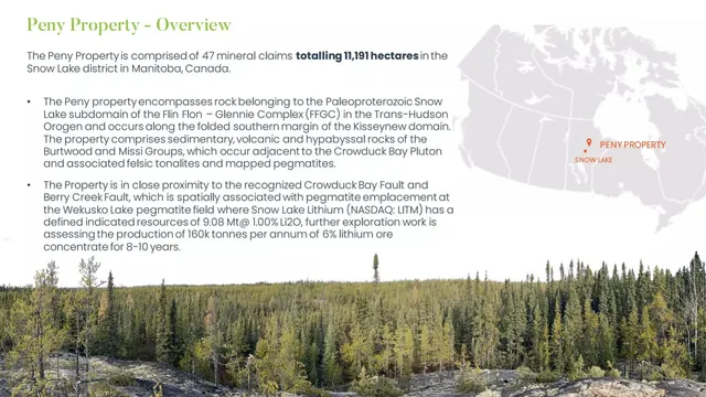 Company overview slide 6 from Lodestar Battery Metals