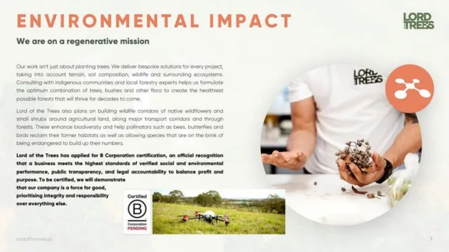 Vision slide 7 from Lord of the Trees