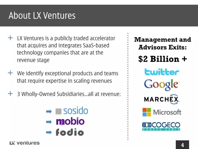 Company overview slide 4 from LX Ventures