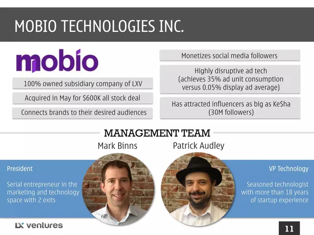 Company overview slide 11 from LX Ventures