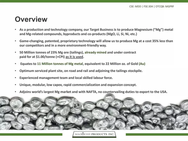 Company overview slide 3 from Mag One Products Inc.